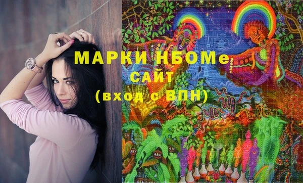 шишки Алексин