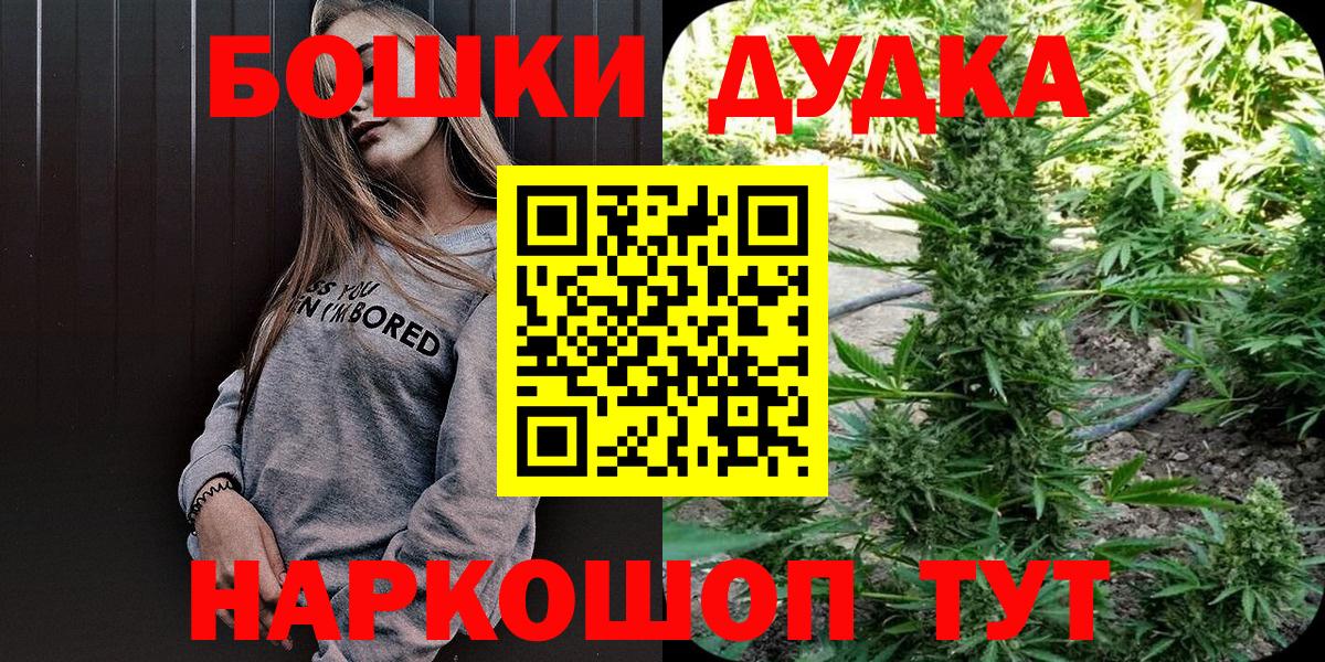 Каннабис сатива  Каннабис планчик  Рассказово  Вход с VPN  Каннабис Bruce Banner 